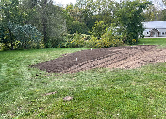 Site Preparation for Tree Planting