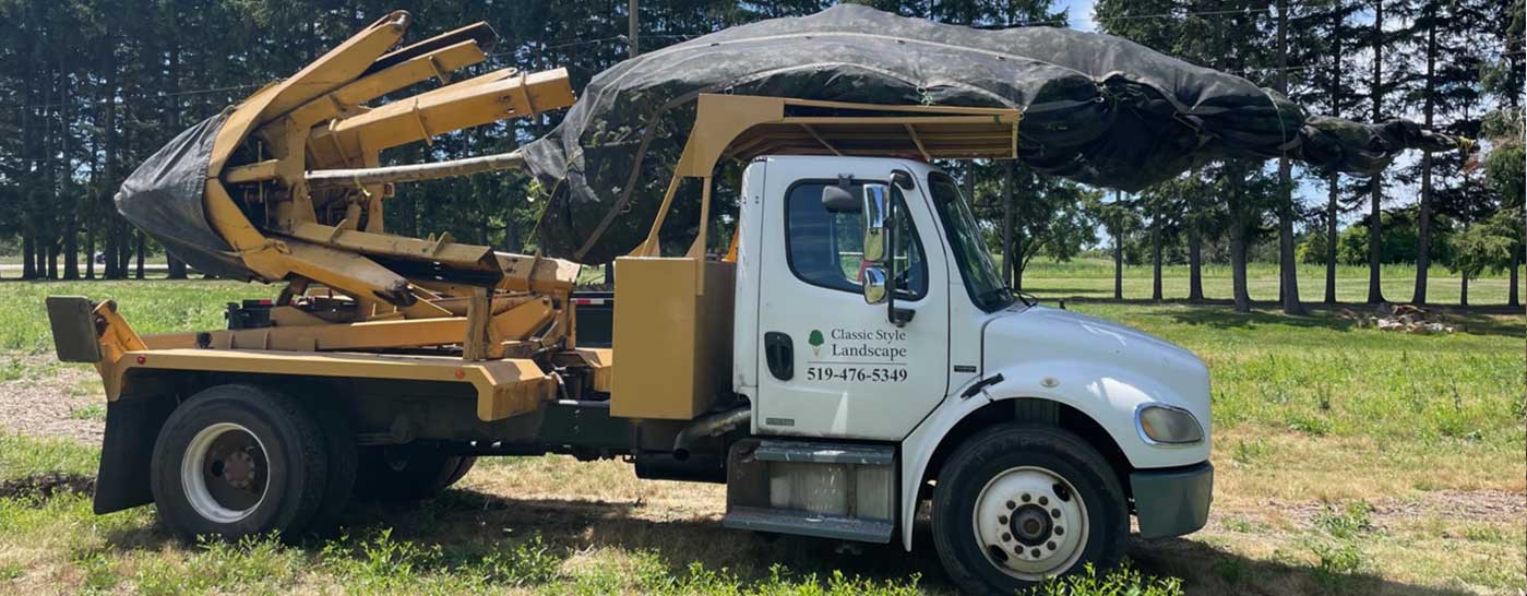 Site to Site Tree Transplanting