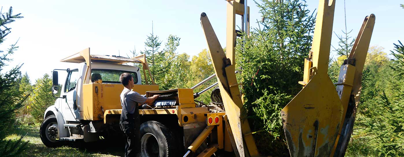 Truck Mount Tree Spade Transplanting